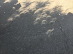 Eclipse Shadows