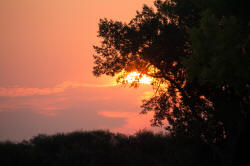 Sunrise in Howe, Idaho